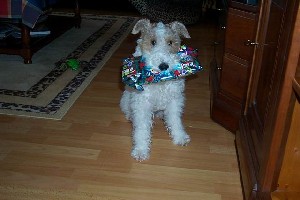 Resize of Razmotte 047.JPG